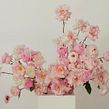 Annemarie Börlind | Botanical Set Design . Design, Set Design, Advertising, Art Direction, Arts, and Crafts project by Valentina Teinitzer (Studio de Pasquale) - 05.13.2022