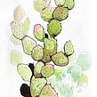 Nature studies. Sketchbook, and Traditional illustration project by Johanna Forster - 05.17.2022