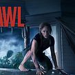 Crawl. Un proyecto de VFX, Diseño, Cine, vídeo, televisión y Animación de Victor Manuel Enriquez Diaz - 08.07.2019