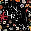 FUNGHIVERSUM - Visual identity for German theater piece for kids and adults Ein Projekt aus dem Bereich Design, Traditionelle Illustration, Br, ing und Identität, Animation, Kunstleitung, Verlagsdesign, Bildende Künste, Grafikdesign, Kreativität, Aquarellmalerei, Prägung, Botanische Illustration und Naturalistische Illustration von Rommygon ☻ - 24.05.2022