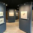 GALLERY BY THE LAKE EXHIBITION, DORCHESTER. Traditional illustration, Pencil Drawing, Drawing, Artistic Drawing, and Realistic Drawing project by Tianyin Wang - 04.12.2021