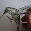 Picaflor chico / Green-backed firecrown. Traditional illustration, Watercolor Painting, and Naturalistic Illustration project by Antonia Reyes Montealegre - 05.31.2022