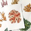 Coral Reef. Traditional illustration, Design, Fine Arts, Drawing, Creativit, Sketching, Watercolor Painting, Children's Illustration, Botanical Illustration, Sketchbook, Ink Illustration, Editorial Illustration, Naturalistic Illustration, Floral, Plant Design, and Decorative Painting project by Katie Putt - 06.28.2022