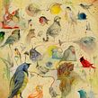 Birds dialogue. Een project van Aquarelschilderen, Schilderij,  Tekening, Tekening met potlood, Tekenen met kleurpotloden, Traditionele illustratie,  Illustratie met inkt, Naturalistische illustratie y  Beeldende kunst van Vorja Sánchez - 08.07.2022