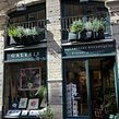  Galerie Vincent Jeannerot - Lyon France. Fine Arts, and Botanical Illustration project by Vincent Jeannerot - 09.05.2022