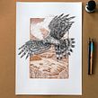 Hen Harrier - Dip pen and ink drawing . Traditional illustration, Arts, and Crafts project by Philip Harris - 06.20.2022