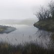 Grey Lake. 3D, and Matte Painting project by Ale Barbosa - 09.27.2022