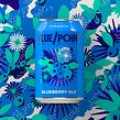 Blue Point Brewing - Blueberry Ale. Un projet de Illustration traditionnelle , et Packaging de Nick Liefhebber - 27.09.2022