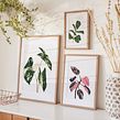 A House Full of Colors (watercolor painting). Traditional illustration, Watercolor Painting, and Botanical Illustration project by Isabela F - 10.06.2022