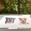 Bruno y Emma. Traditional illustration, Portrait Drawing, Realistic Drawing, Colored Pencil Drawing, and Drawing project by Camila Correa Castro - 08.09.2020