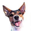 Retrato de Chela. Traditional illustration, Portrait Drawing, Realistic Drawing, Drawing, and Colored Pencil Drawing project by Camila Correa Castro - 10.11.2022