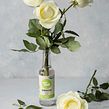 Kombucha & Flowers. Un proyecto de Fotografía, Diseño floral, vegetal, Dirección de arte, Post-producción fotográfica		, Fotografía de producto, Fotografía gastronómica, Fotografía para Instagram, Teoría del color, Food St y ling				 de Camila Seraceni - 13.10.2022