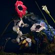 Lacroix - Forêt enchantée Ein Projekt aus dem Bereich Fotografie von Florie Berger - 14.10.2022