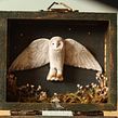 Caixinha de Música inspirada no Universo de Harry Potter. Design, Decoração de interiores, Escultura, e Artesanato projeto de Juliana Lanini - 19.10.2022