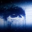 Caught in the Net Ein Projekt aus dem Bereich Kino, Video und TV, Animation, Grafikdesign, Video, TV, 2-D-Animation, Motion Graphics, Design und Kunstleitung von Ross Sneddon - 15.03.2022