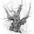 The Veteran . Un progetto di Disegno, Belle arti, Illustrazione naturalistica e Illustrazione con inchiostro di Luke Adam Hawker - 24.10.2022