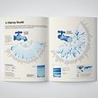 My project for course: Information Design: Storytelling with Data in Illustrator. Graphic Design, Information Design, Interactive Design & Infographics project by Valentina D'Efilippo - 10.30.2022
