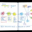 Sean Sketchbooks Process. Design, Estratégia de marca, Narrativa, e Sketchbook projeto de Sean Adams - 24.11.2022