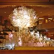 The Apple Tree.  project by Jeffrey Nishinaka - 11.30.2022