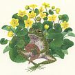 Playful Frogs  . Traditional illustration, Naturalistic Illustration, Botanical Illustration, Painting, Watercolor Painting, and Gouache Painting project by Georgina Taylor - 12.06.2022