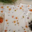 Plant and Flower Dyed Tee Shirts. Un proyecto de Diseño de moda, Teñido Textil, Estampación textil, Diseño textil y Tejido de Amanda de Beaufort - 16.12.2022