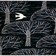 BlackBird Screenprint. Traditional illustration, Screen Printing, Narrative, and Drawing project by Whitney Sherman - 01.01.2023