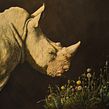 Exotic Animals - Oil Painting.  project by Valentina Grilli - 03.19.2023