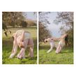 Adobe Artist Development Fund. Photograph, Photograph, Post-production, Portrait Photograph, Lifest, le Photograph, Studio Photograph, Digital Photograph, Photographic Lighting, and Outdoor Photograph project by Maria Louceiro - 03.30.2023