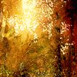My project for course: Dreamy Watercolor Landscapes: Paint with Light. Un projet de Peinture , et Aquarelle de Sarah Stokes - 20.04.2023