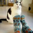 Herding Cats socks. Un proyecto de Artesanía, Tejido de punto y Diseño de complementos de Stone Knits - 27.04.2023