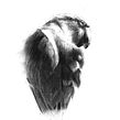 Charcoal parrot video demo. Un projet de Dessin de Sarah Stokes - 21.07.2023