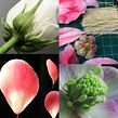 SMALL DETAIL: Nothing is Impossible.  (Christina Wallis) . Design, Education, Arts, and Crafts project by Christina Wallis - 08.02.2023