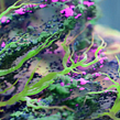 Mitosis. Motion Graphics, 3D, and Animation project by Ian Frederick - 08.28.2023