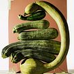 Combination between organic and waste. Photograph, and Product Photograph project by Nicolas Polli - 10.25.2023