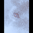 Winter Solstice (3D) Ein Projekt aus dem Bereich 3-D-Animation und 3-D-Modellierung von Alex Hall - 05.12.2023