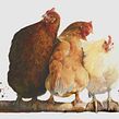 “Girls’ Night In”. Pintura em aquarela projeto de Sarah Stokes - 04.02.2024
