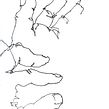 ogni tanto leve_disegno alla cieca di mano. Desenho projeto de Claudio Patanè - 05.03.2024