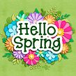 Hello Spring. Un projet de Lettering 3D , et Dessin de Abigail Bixler - 24.06.2024