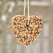 DIY Birdseed Ornaments. Een project van Craft y Creativiteit met kinderen van Debbie Chapman - 12.07.2024