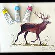 🥳Free video of a watercolour Stag painted in CMYK . Pintura em aquarela projeto de Sarah Stokes - 08.07.2025