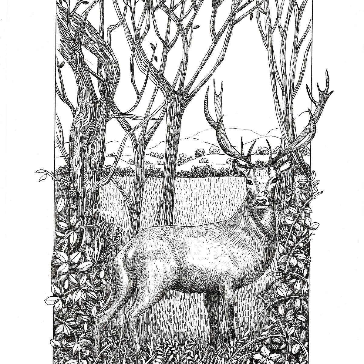 Mon projet du cours Illustration à l'encre et à la plume — free download