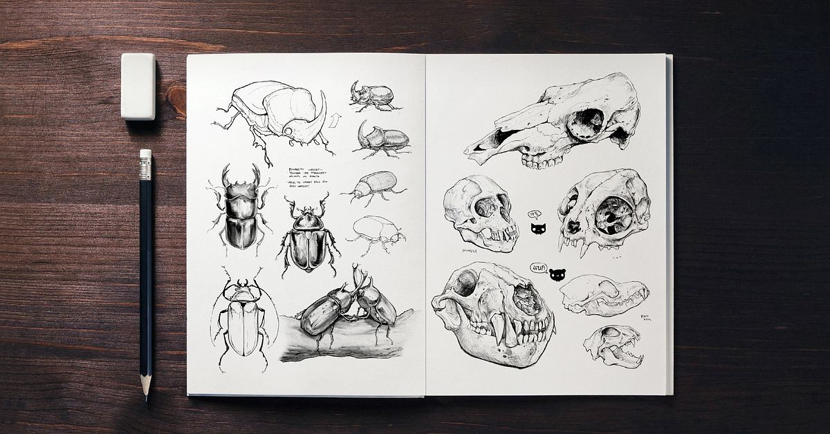 Unlock Your Creativity: A Daily Sketching Course by Sorie Kim Unlock Your Creativity: A Daily Sketching Course by Sorie Kim