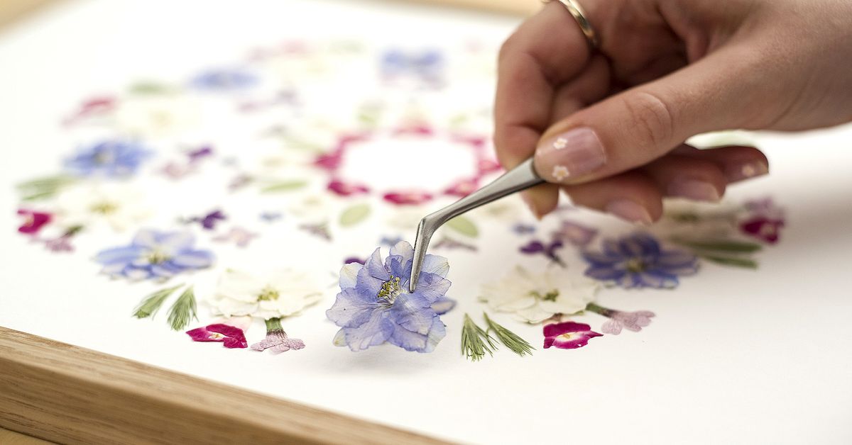 Colorful Herbarium from A to Z - 100% Free Udemy Coupon