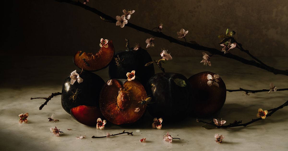 Still Life and The World of Symbolism Domestika