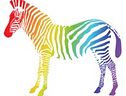 Online Zebra