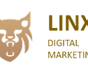 Linx Marketing España