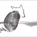 Miguel Angel Teso Canales