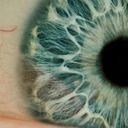 cristina coronel martinez