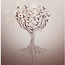 Raul Marcos Giménez Robres