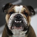 Jaime Zubiaur Beguiristain